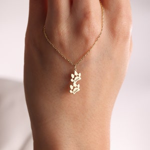 May include: Gold necklace with a charm of three paw prints, each with a name engraved on it: Daisy, Sadie.
