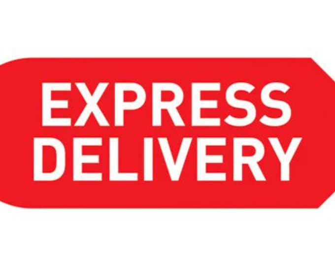 Express shipping ( 1-3 business days )