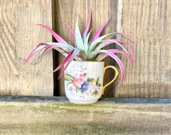 D & C France Demitasse Cup, Antique Porcelain Delinieres And Co Floral Expresso Cup/Air Plant Holder, Shabby Chic Dainty Romantic Decor