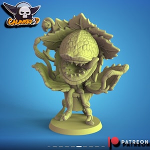 Gnome Fantasy Football proxy Team Calaverd image 6