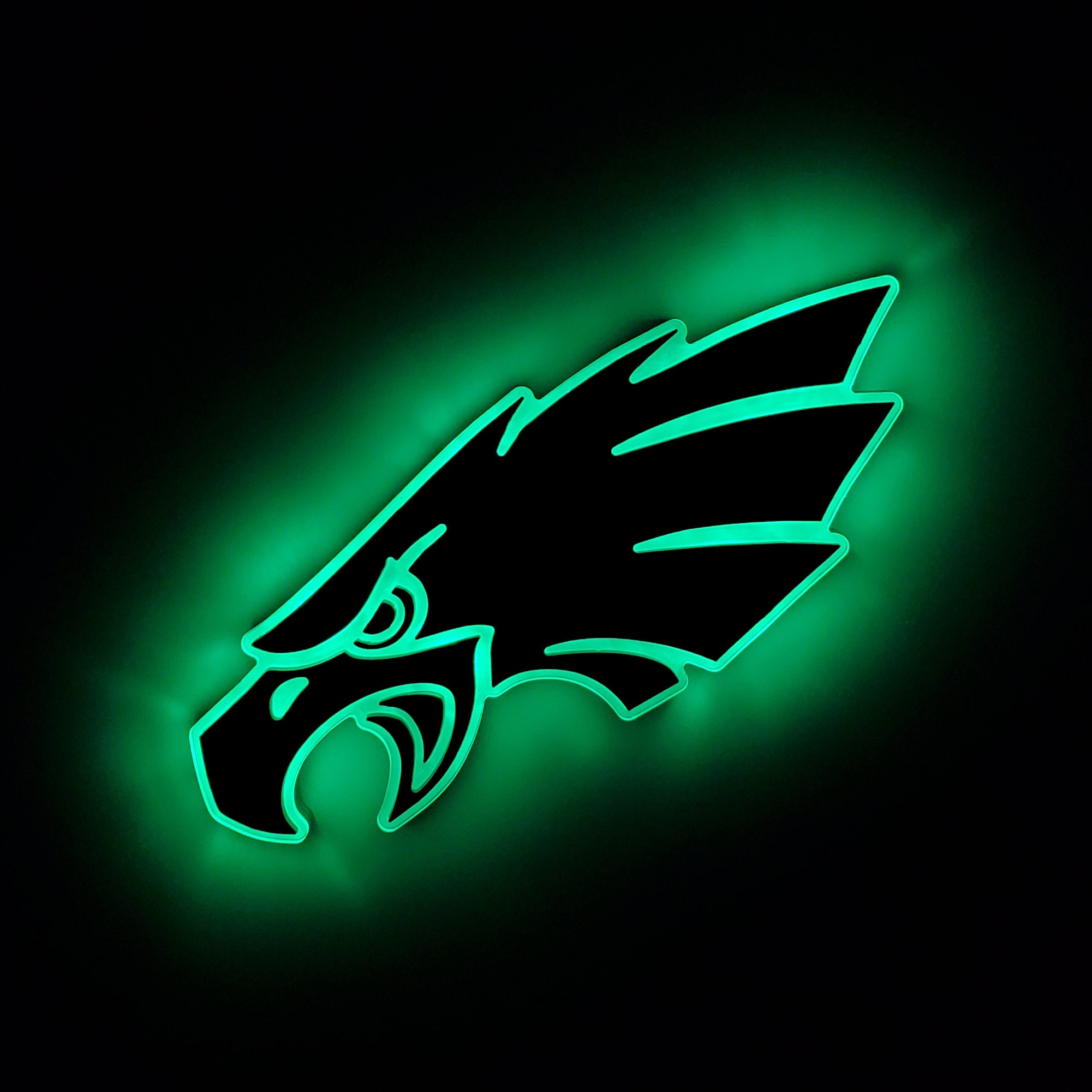 NEW Philadelphia Eagles Team Logo Neon Display Light Sign Memory NFL