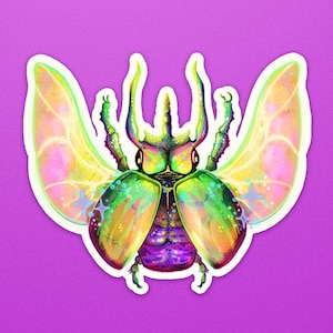 Insect Sticker || Beetle || Witchy Stickers || Laptop Stickers || Vinyl Stickers