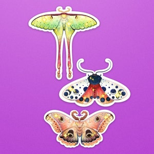 Moths Stickers | Nature | Vinyl Stickers | Laptop Stickers | Insect Stickers