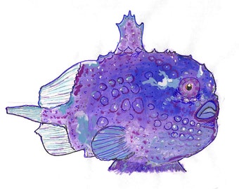 Pacific Spiny Lumpsucker fish sitting on aquatic snail 3 inch waterproof vinyl sticker