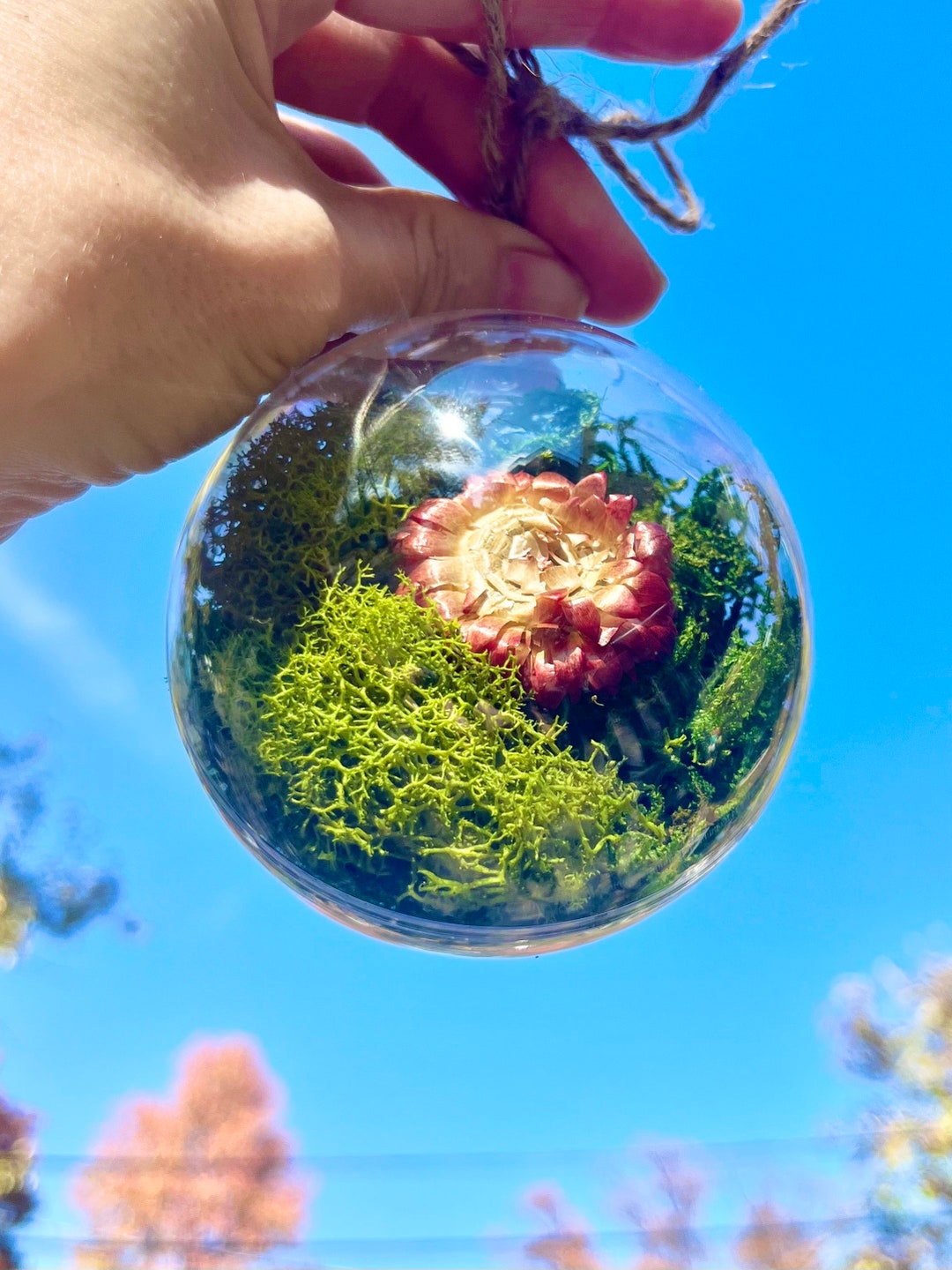 Fairy Garden Ornament, Christmas Ball Ornaments, Moss Art, Small