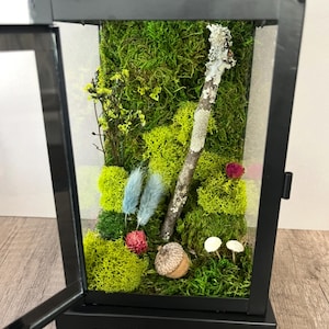 Personalized Moss Terrarium Decorative LED Light Lantern, Miniature Fairy Garden Lamp, Greenhouse Diorama, Magical Mushroom Moss Decor