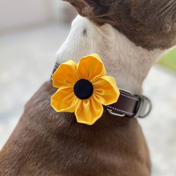 Dog Collar Flower | Yellow | Collar Corsage | Dog Wedding Flower | Flower for Collar | Hook and Loop | Sunflower | Collar Charm