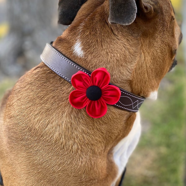 Dog Collar Flower | Red Poppy Flower | Collar Corsage | Dog Wedding Flower | Hook and Loop | Gift for Dog Lovers