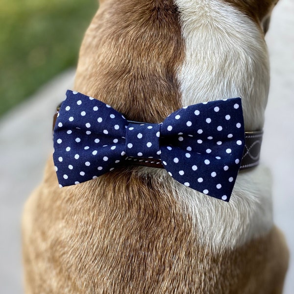 Polka Dot Bowtie Etsy