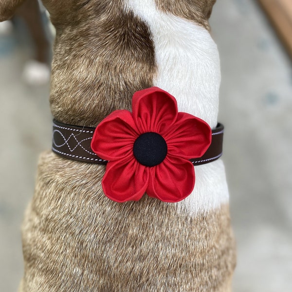 Fleur pour collier de chien | coquelicot rouge | Collier Corsage | Fleurs pour mariage chien | Crochet et boucle attachés | Cadeau pour les amoureux des chiens | Charm pour collier