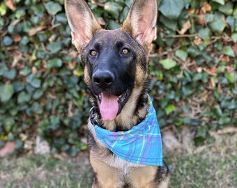 Sky Blue Yellow Plaid Reversible Spring Dog Bandana | Over the Collar | Tie On | Personalized Custom | New Dog Gift