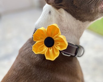 Dog Collar Flower | Yellow | Collar Corsage | Dog Wedding Flower | Flower for Collar | Hook and Loop | Sunflower | Collar Charm