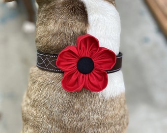 Dog Collar Flower | Red Poppy | Collar Corsage | Dog Wedding Flower | Hook and Loop Attached | Gift for Dog Lovers | Collar Charm