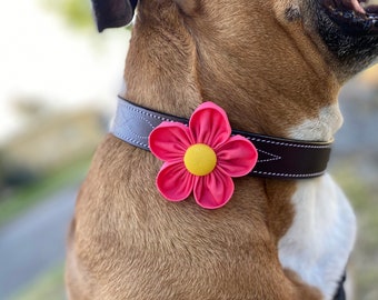 Dog Collar Flower | Pink Coral Flower | Collar Corsage | Dog Wedding Flower | Hook and Loop | Gift for Dog Lovers