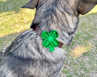 Four Leaf Clover Collar Accessory | Green | St Patricks Day | Collar Charm | Dogs Cats Pets | Shamrock | Gift for Dog Lovers