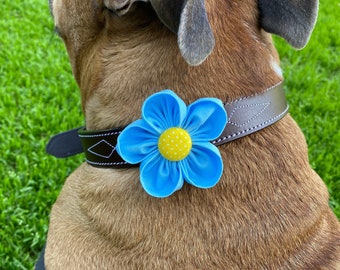 Dog Collar Flower | Light Blue | Collar Corsage | Dog Wedding Flower | Flower for Dog | Dog Lover Gift | Collar Charm | Hook and Loop