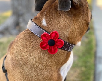 Dog Collar Flower | Red Poppy Flower | Collar Corsage | Dog Wedding Flower | Hook and Loop | Gift for Dog Lovers