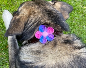 Flor de collar de perro / Primavera rosa púrpura azul Ombre Tie Dye Daisy Flower / Collar Corsage / Flor de boda de perro / Regalo para los amantes de los perros