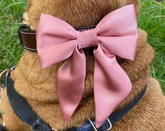 pink collar with bow