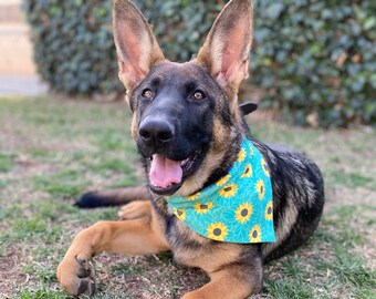 Sunflower Reversible Floral Dog Bandana | Over the Collar | Tie On | Personalized Custom | Spring Sky Blue Green | New Dog Gift