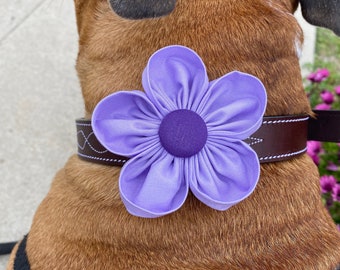 Purple Daisy Flower for Dog Collar | Collar Flower | Collar Corsage | Dog Wedding Flower | Dog Lover Gift | Collar Charm