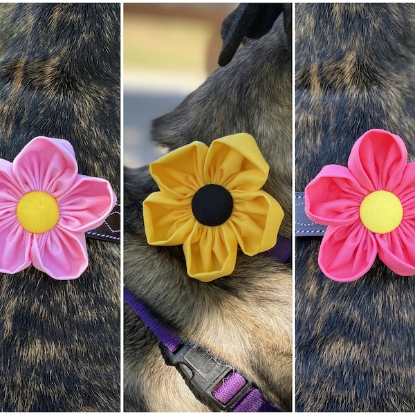 Dog Collar Flower | 3-Pack | Collar Corsage | Dog Wedding Flower | Hook and Loop Attached | Flower for Dog | Dog Lover Gift | Collar Charm