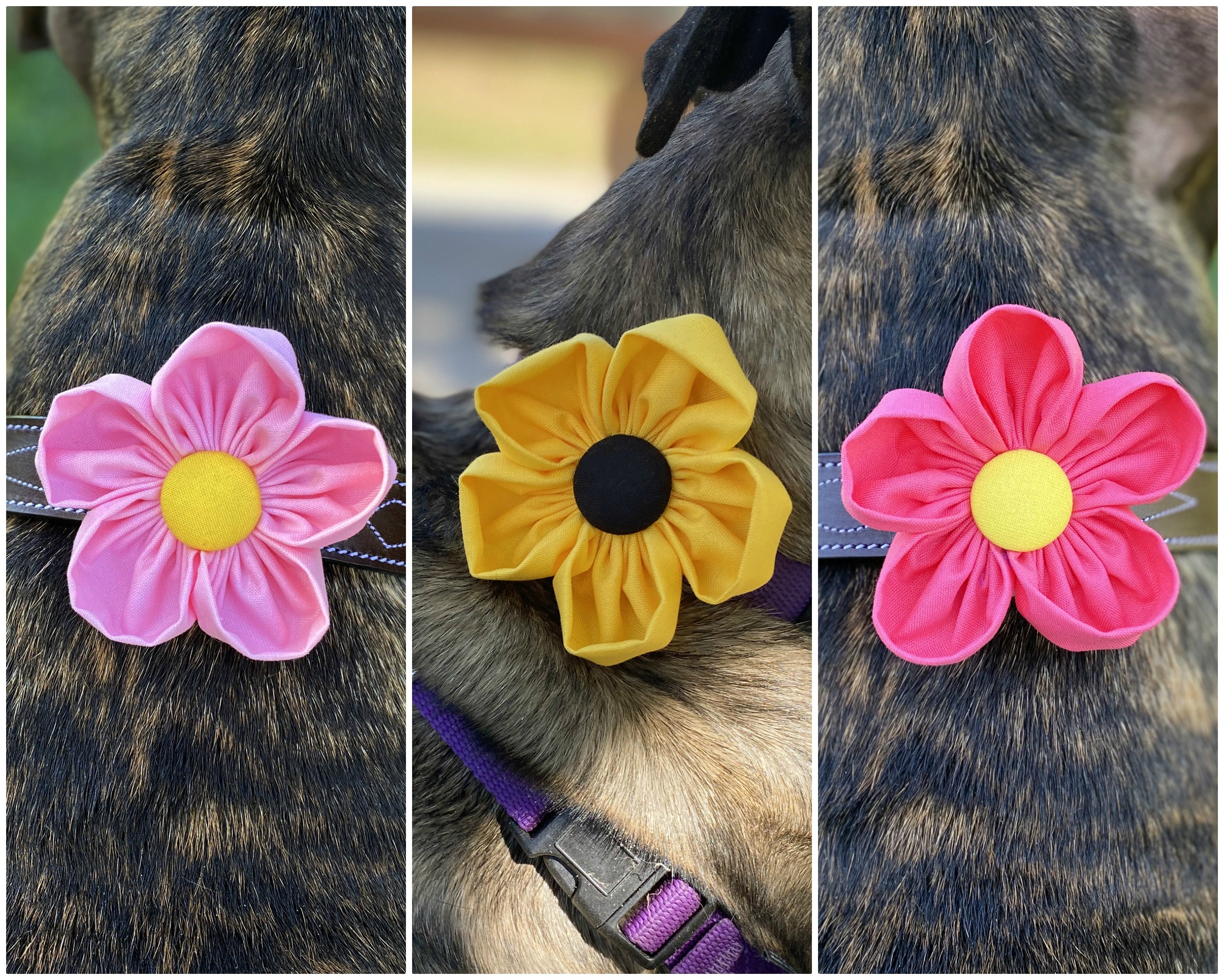 Dog Collar Flower 3 pack Collar Corsage Dog Wedding Flower Hook and Loop Attached Flower for Dog Dog Lover Gift Collar Charm Etsy