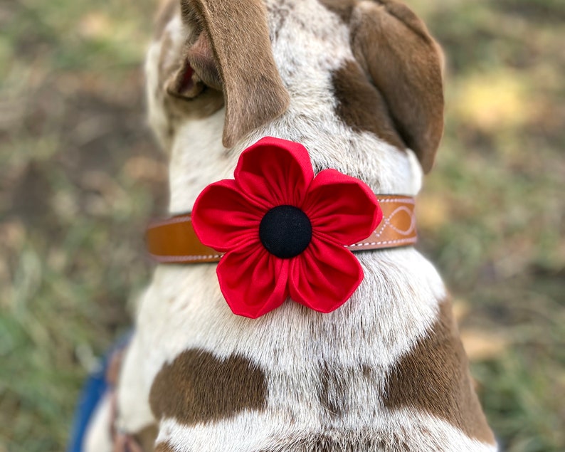 Dog Collar Flower Red Poppy Collar Corsage Dog Wedding Etsy