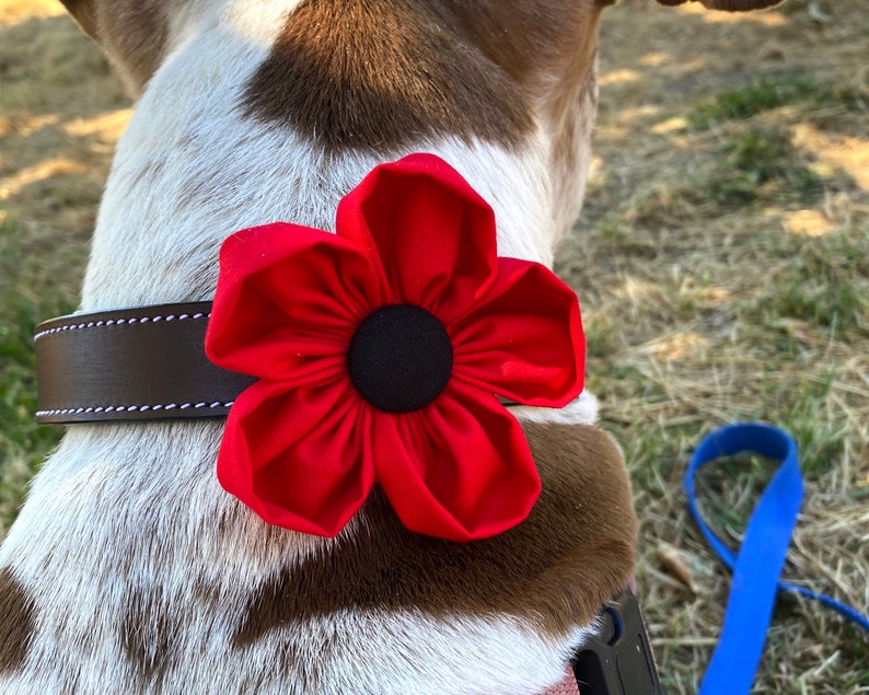 Dog Collar Flower Red Poppy Collar Corsage Dog Wedding Etsy