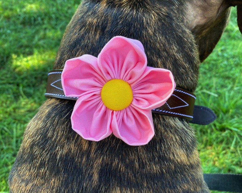 Dog Collar Flower Pink Collar Corsage Flower for Dog Etsy