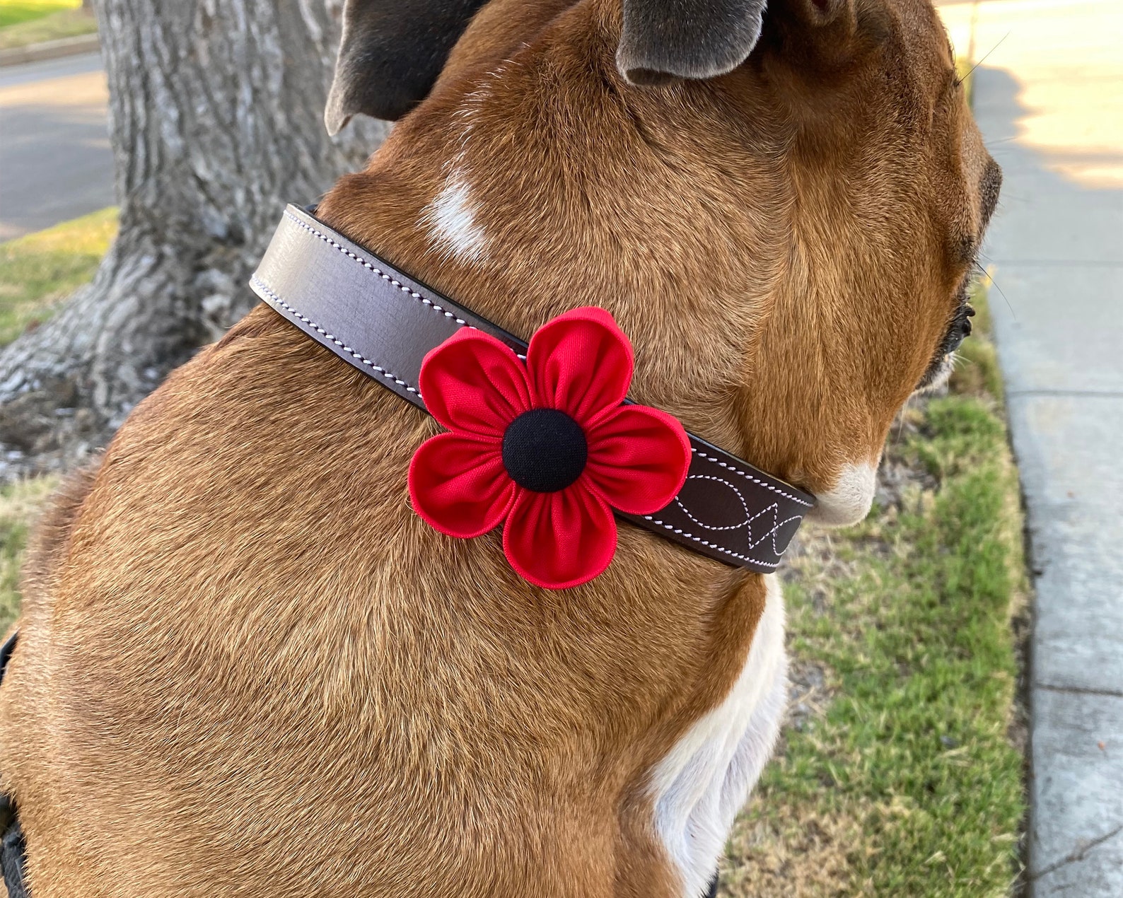 Dog Collar Flower Red Poppy Flower Collar Corsage Dog Etsy