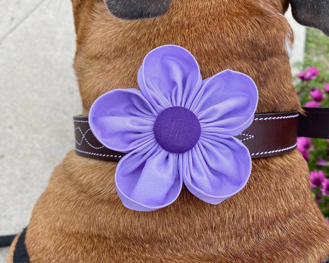 Purple Daisy Flower for Dog Collar Collar Flower Collar Corsage Dog