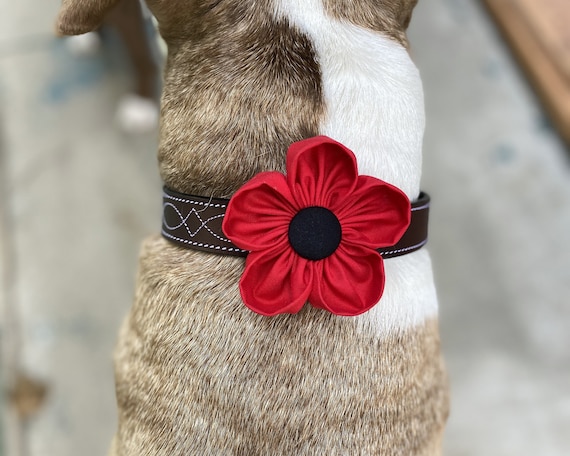 Dog Collar Flower Red Poppy Collar Corsage Dog Wedding Flower Hook