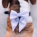 see more listings in the Dog Bows - Satin Formal section