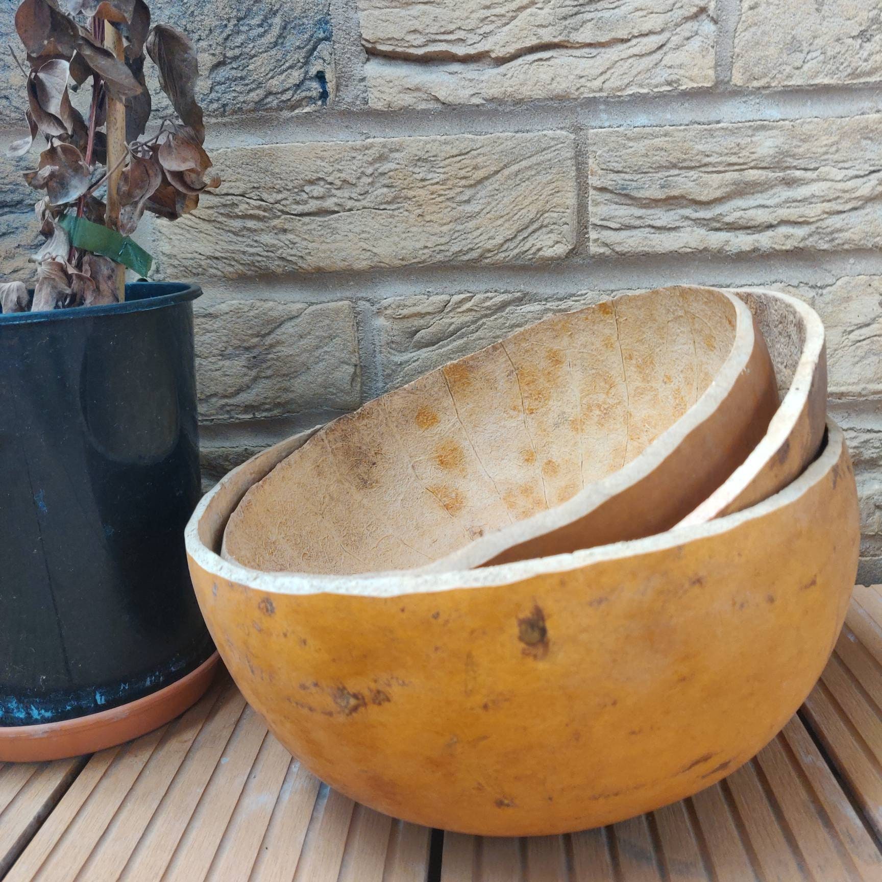 1 x Authentic African Calabash Bowl Gourd Hand Carved Medium Etsy