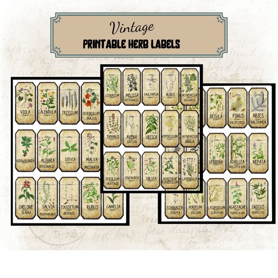 15 Etichette Piante In Legno Nero - Lavagnette Per Orto E Giardino | Idee Per Semi, Erbe E Fiori - Foto 9