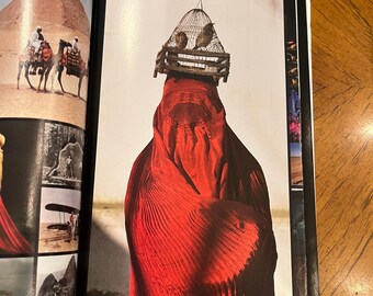 Vintage National Geographic October 2013 Edition. the Photo Issue