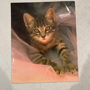 Puede incluir: Una portada de cuaderno con un gatito atigrado de ojos verdes, descansando sobre tul rosa. La portada tiene el texto "Happy Tails" en la esquina superior derecha. El fondo es un degradado de rosa y negro.