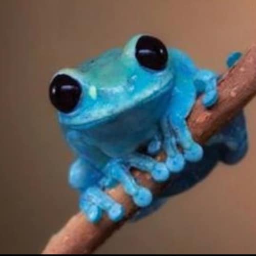 ビンテージのシックスフラッグス ブループ ザ マジック マウンテン