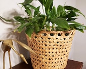 Large sized cane woven basket planter or plant pot. Large enough for plants in 10 inch wide pots. Rattan wicker cane plant basket