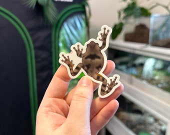 Grey Tree Frog Stickers