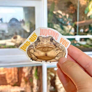 Toad-ally Judging you Amphibien Matte Aufkleber