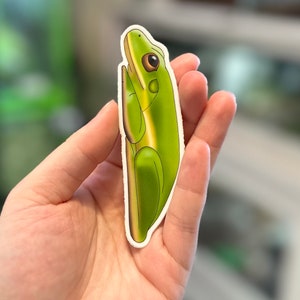 Laubfrosch Sticker