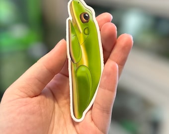 Tree frog Stickers