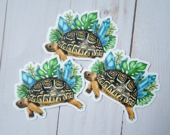 Gemstone Reptile Keeper Stickers / Leopard Tortoise