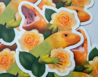 Caiman Lizard Floral Sticker