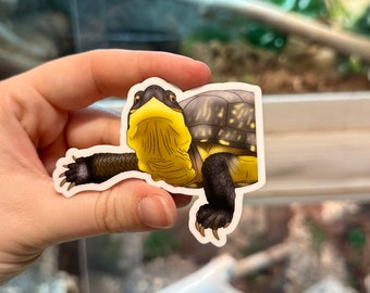 Blandings Turtles Matte Sticker