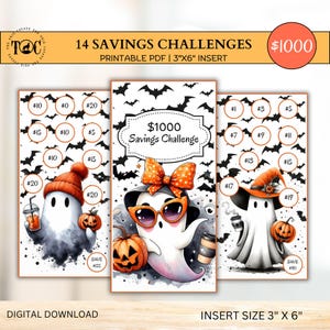 14 Money Savings Challenge Cards | Low Income Budget Printable | 3x6 Cash Envelopes | Digital Download | 1K Small Budget