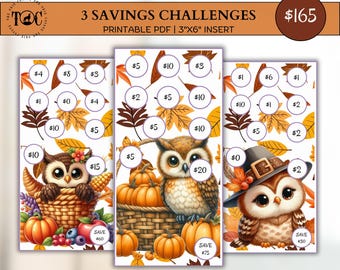 May include: Three printable savings challenges with owl illustrations, pumpkins, and fall leaves. Each card has circles with dollar amounts. The total savings amount is $165. The insert size is 3"x6".
