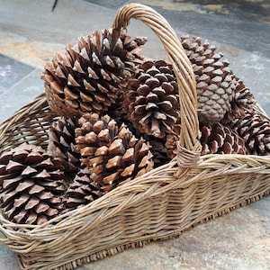 Op de afbeelding: Een rieten mand gevuld met bruine dennenappels. De mand heeft een gevlochten handvat en is gemaakt van natuurlijke materialen.